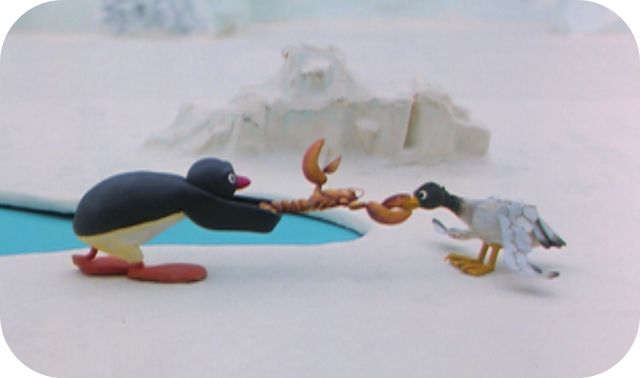 Pingu And The Seagull